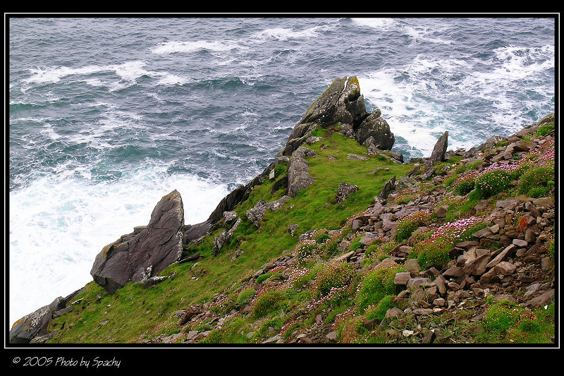 Ireland,Dingle Peninsula(5)